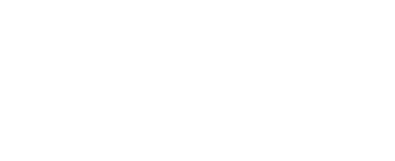 Logotipo-CANALIZA-SECURITY